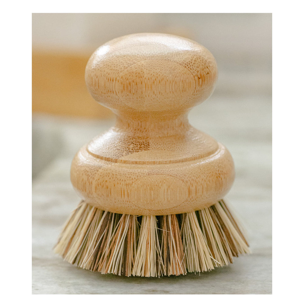 CASA AGAVE™ Pot Scrubber Brush